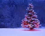 Immagini Albero di Natale